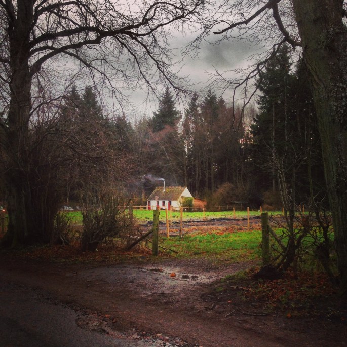 Wee cottage in the woods