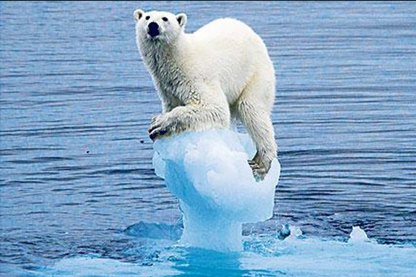 Climate Change not only affects Polar Bears, but us too. http://socialjournalism.com.au/wp-content/uploads/2013/06/climateChange.jpg
