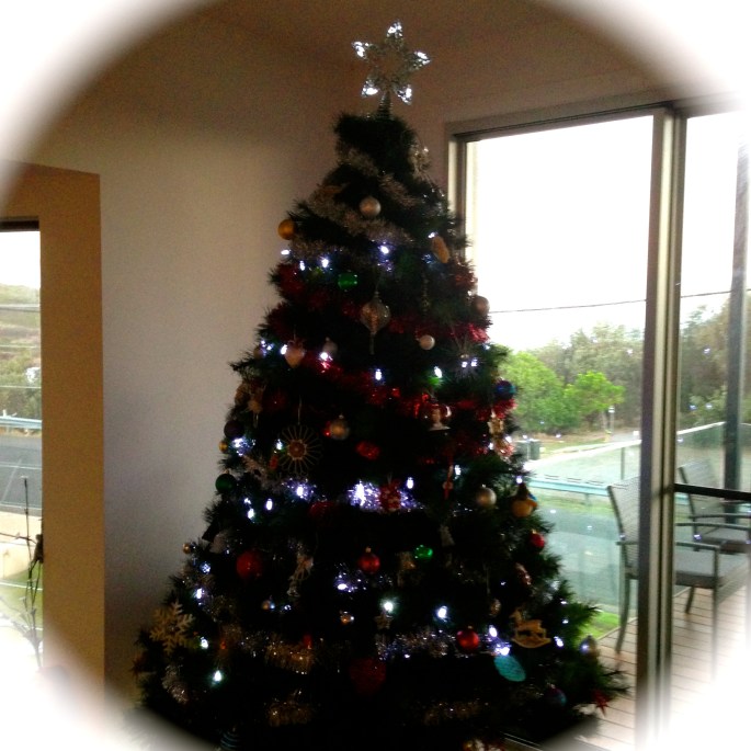 Our Christmas Tree 2014