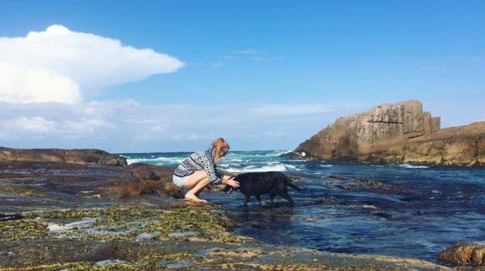 12939269_1273843102630702_1968353969_n